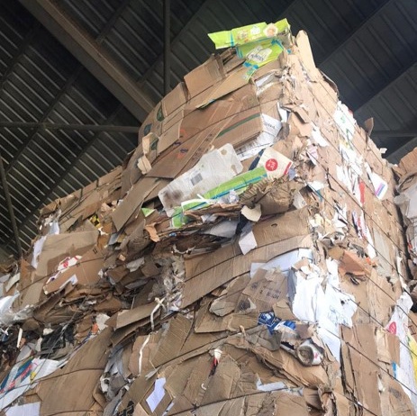 We led a gender and social inclusion analysis of the recycling sector in the Greater Amman Municipality.